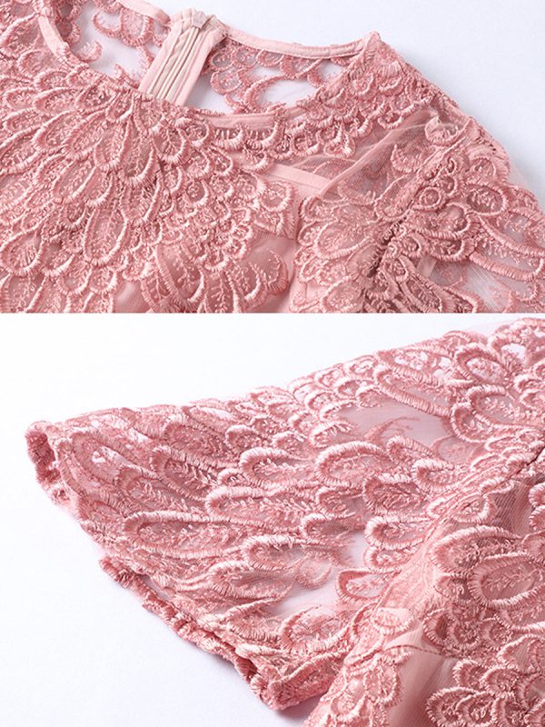 Elegant Embroidered Lace All Match Commuter Mini Dress - Image 5